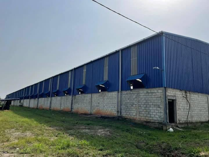 USINE DE TRANSFORMATION D’ACAJOU À VENDRE EN CÔTE D’IVOIRE – OPPORTUNITÉ D’AFFAIRE
