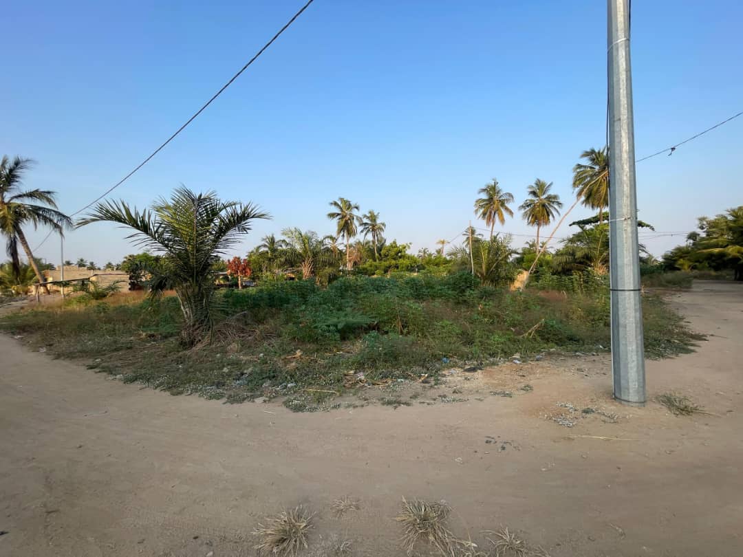 Terrain 1 lot en vente à Agbodrafo djassémé – 12 millions FCFA