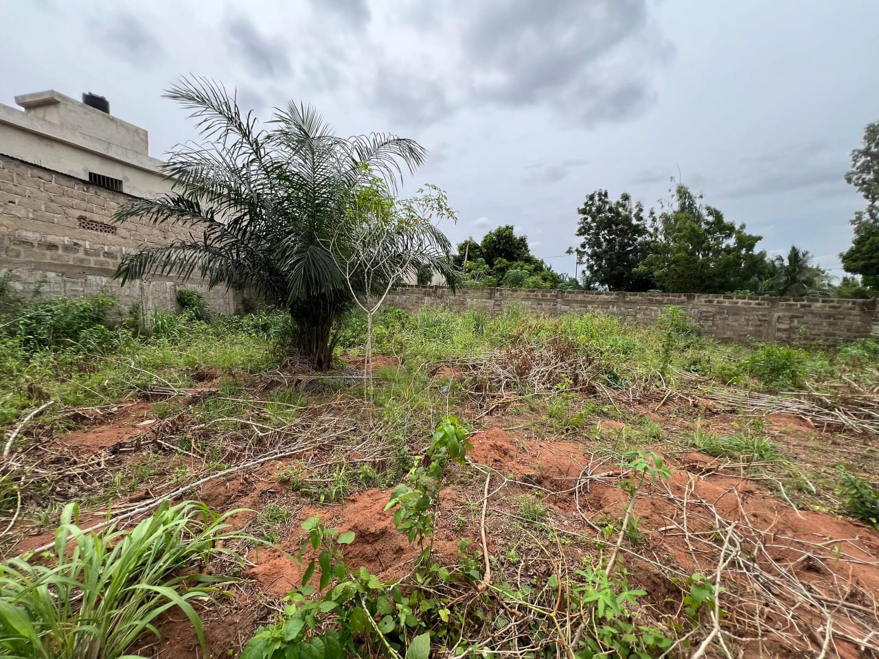 Terrain de 515 m² en vente à Sanguera ARS – 23 millions FCFA