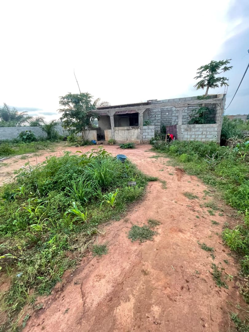 Terrain de 300 m² en vente à Noépé – 6.500.000 FCFA