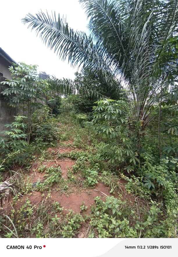 Terrain à vendre à Vakpossito – 30 Millions FCFA