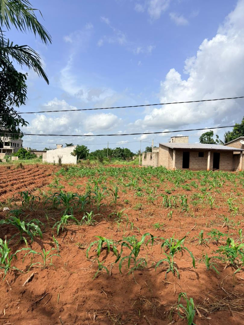 Terrain de 600 m² en vente à Apessito – 13,5 millions FCFA le lot