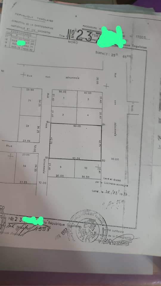 Terrain de 4 lots et 1/4 en vente en bordure de goudron à Davié-Tsévié – 110 millions FCFA