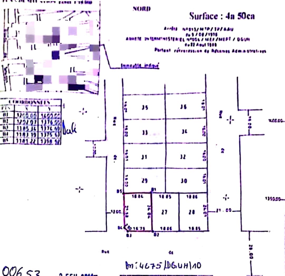 Terrain de 450 m² en vente en angle de rue à Totsi – 55 000 000 FCFA