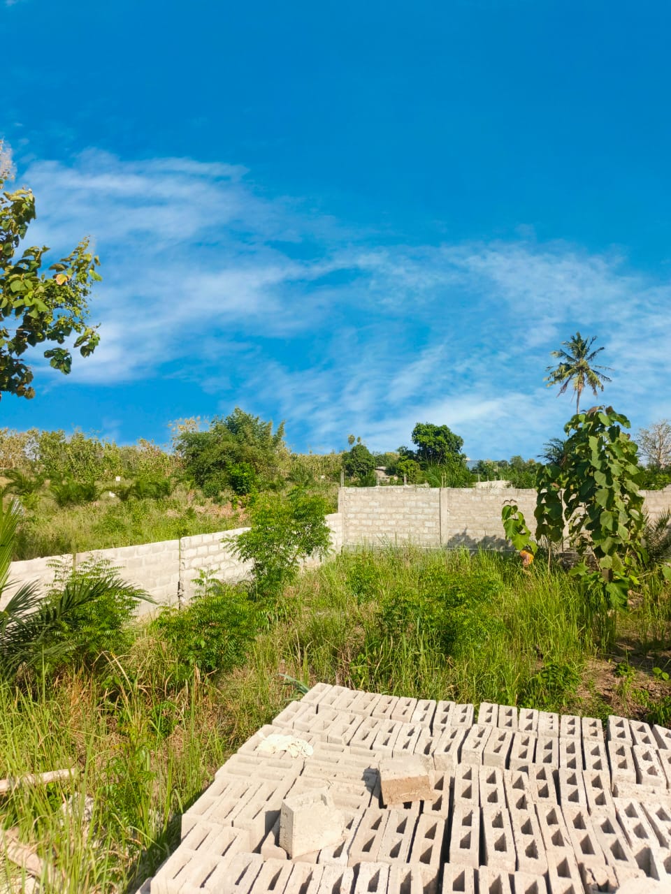 Terrain de plus de 5 lots en vente à Kpala-Djigbé – 12 millions FCFA le lot