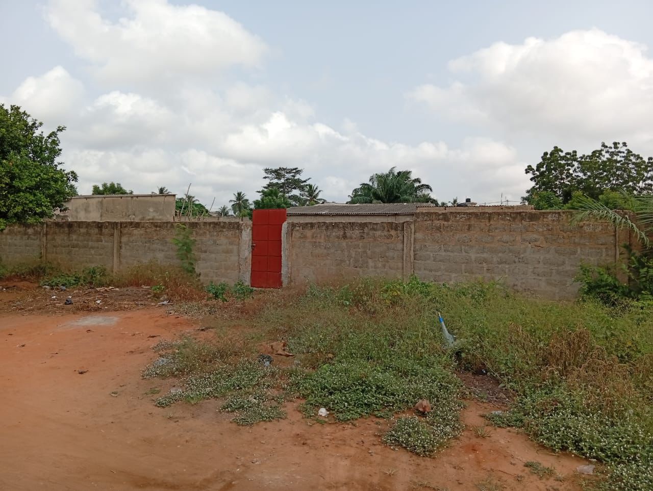 Terrain de 1200 m² en vente à Yokoe – 25 millions FCFA le lot