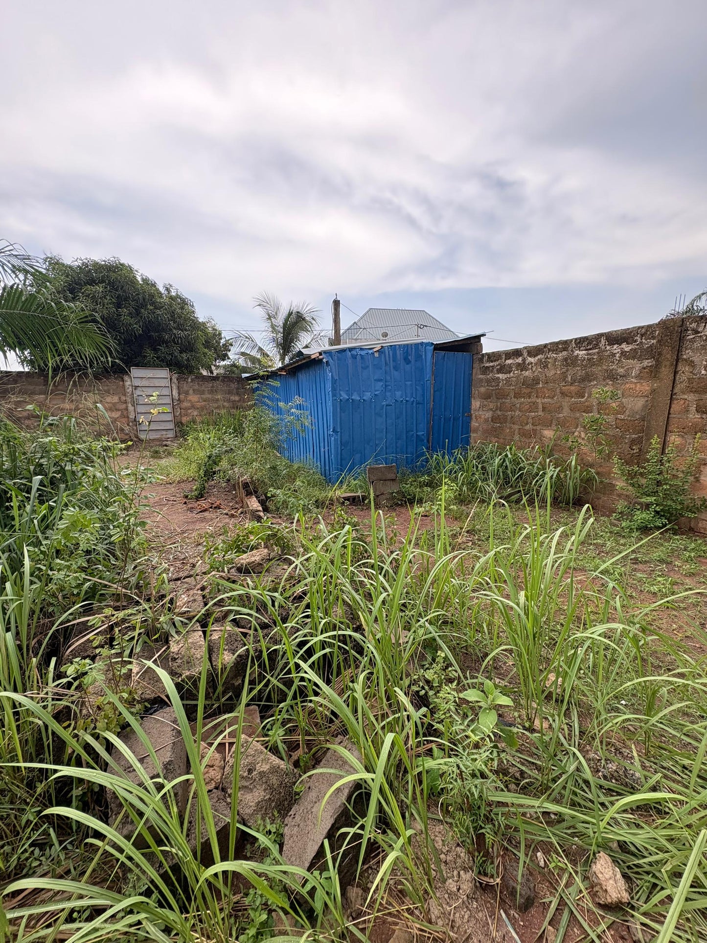 Terrain d'un demi-lot clôturé en vente à Zanguera IPG – 14 millions FCFA