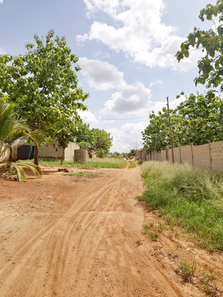 2 lots (1200 m²) en vente à Mission-Tové Moekopé – 7.500.000 FCFA