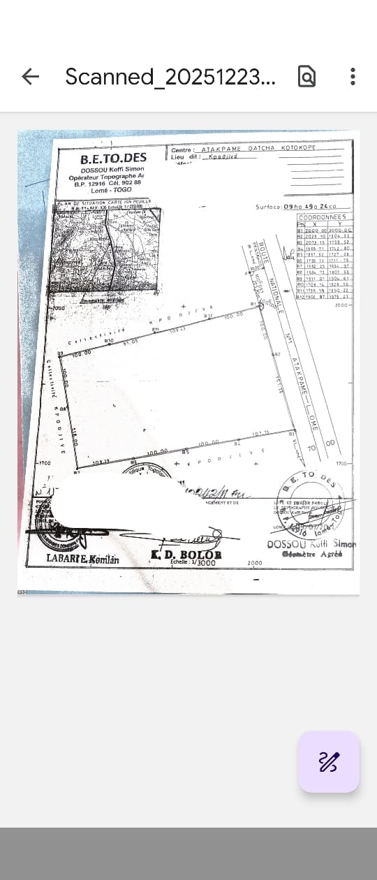 Terrain de 9 hectares en vente en bord du goudron à Datcha Koto Kopé – 5,5 millions FCFA l'hectare