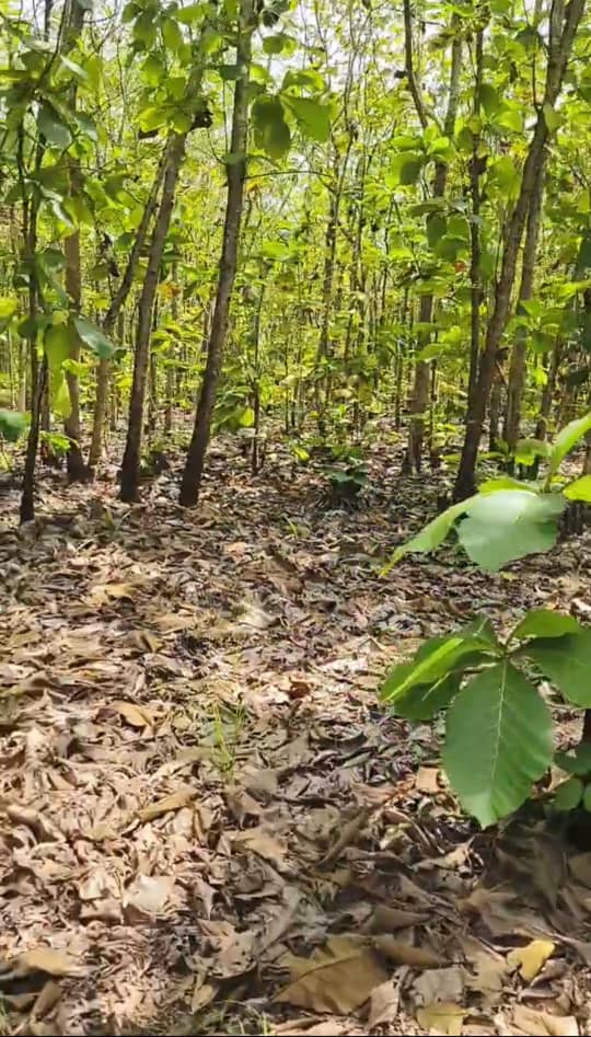 Terrain à vendre à Agbélouvé – 1,5 Millions FCFA