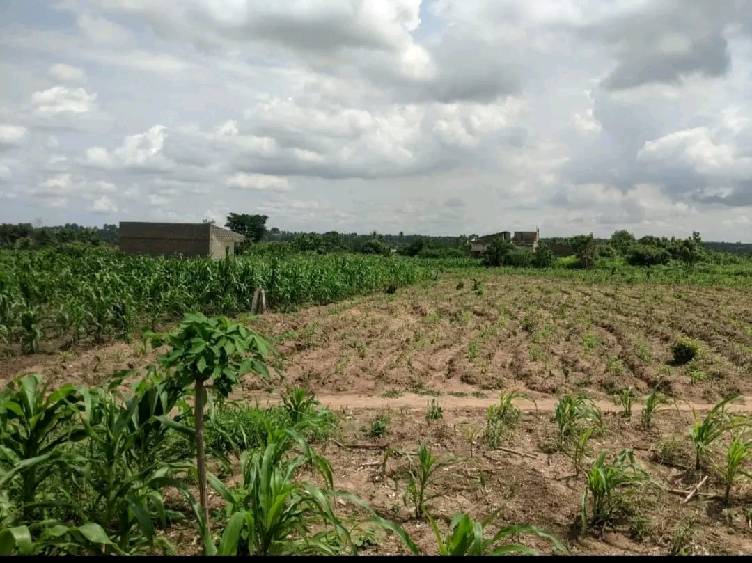 100 lots en vente près du goudron à Adetikopé PIA – 7 millions FCFA le lot