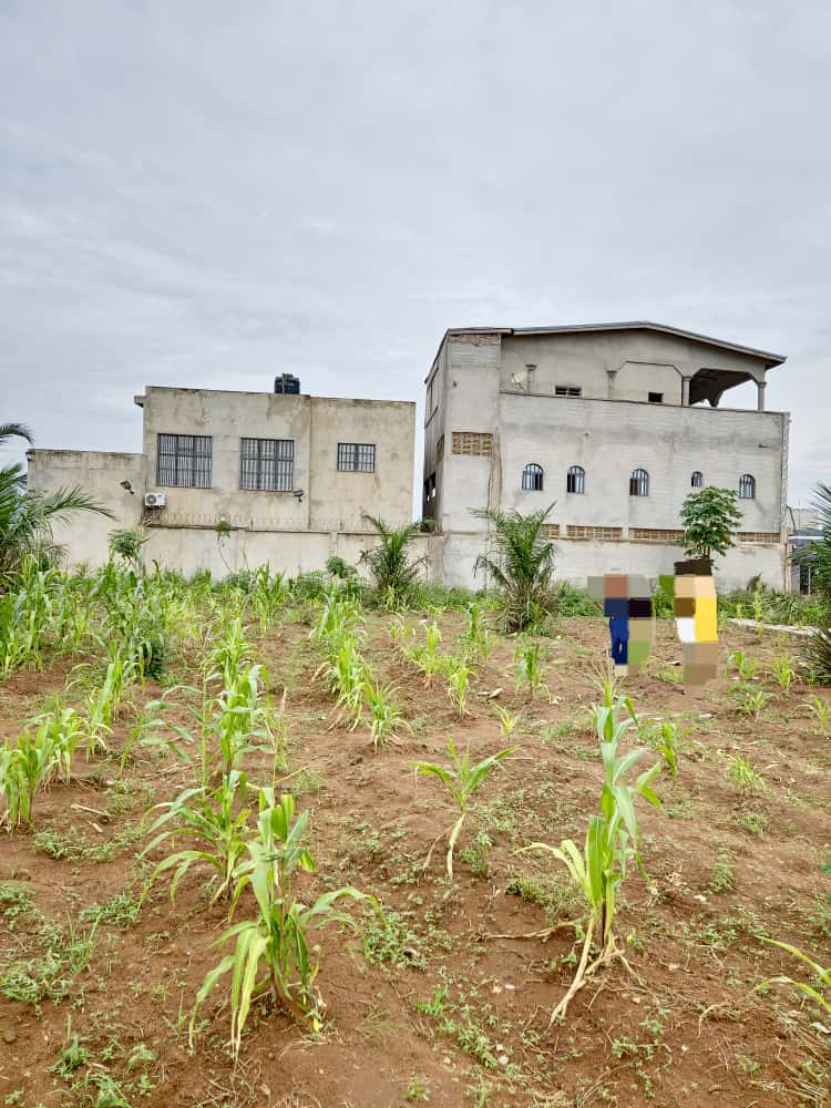 Terrain de 563 m² en vente à Légbassito Avinatato – 15 millions FCFA