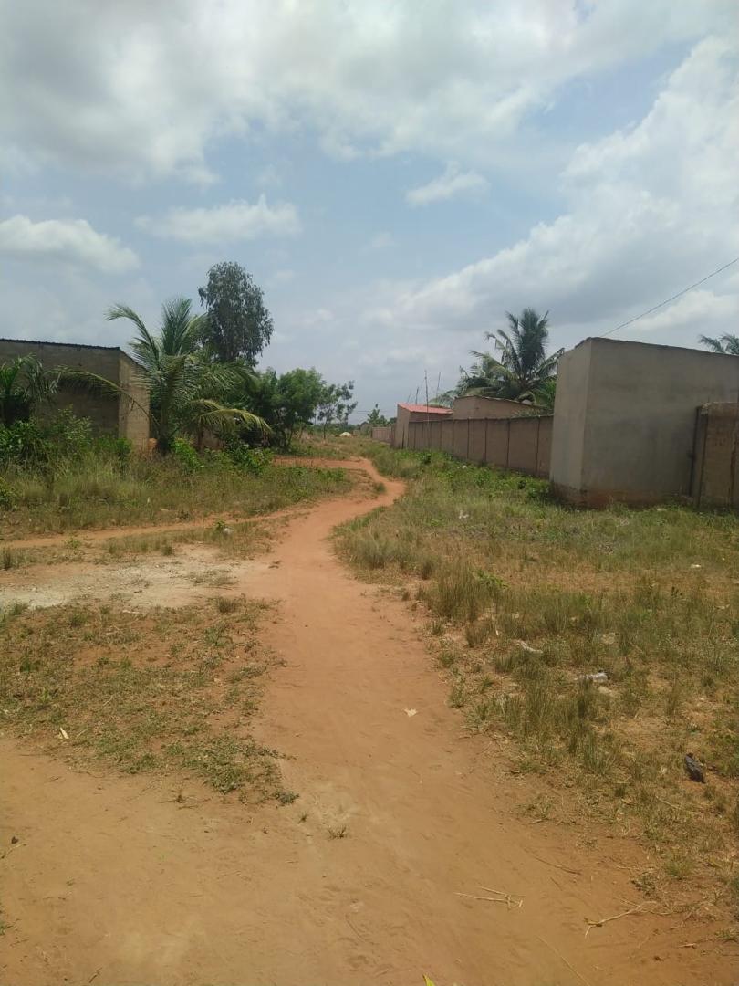Terrain de 4 lots en vente à Apessito – 14 millions FCFA par lot
