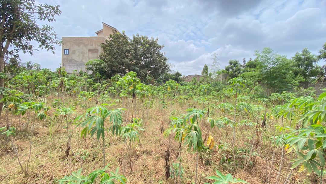 Terrain à vendre à Adidogomé Segbé Akato – 10 Millions FCFA