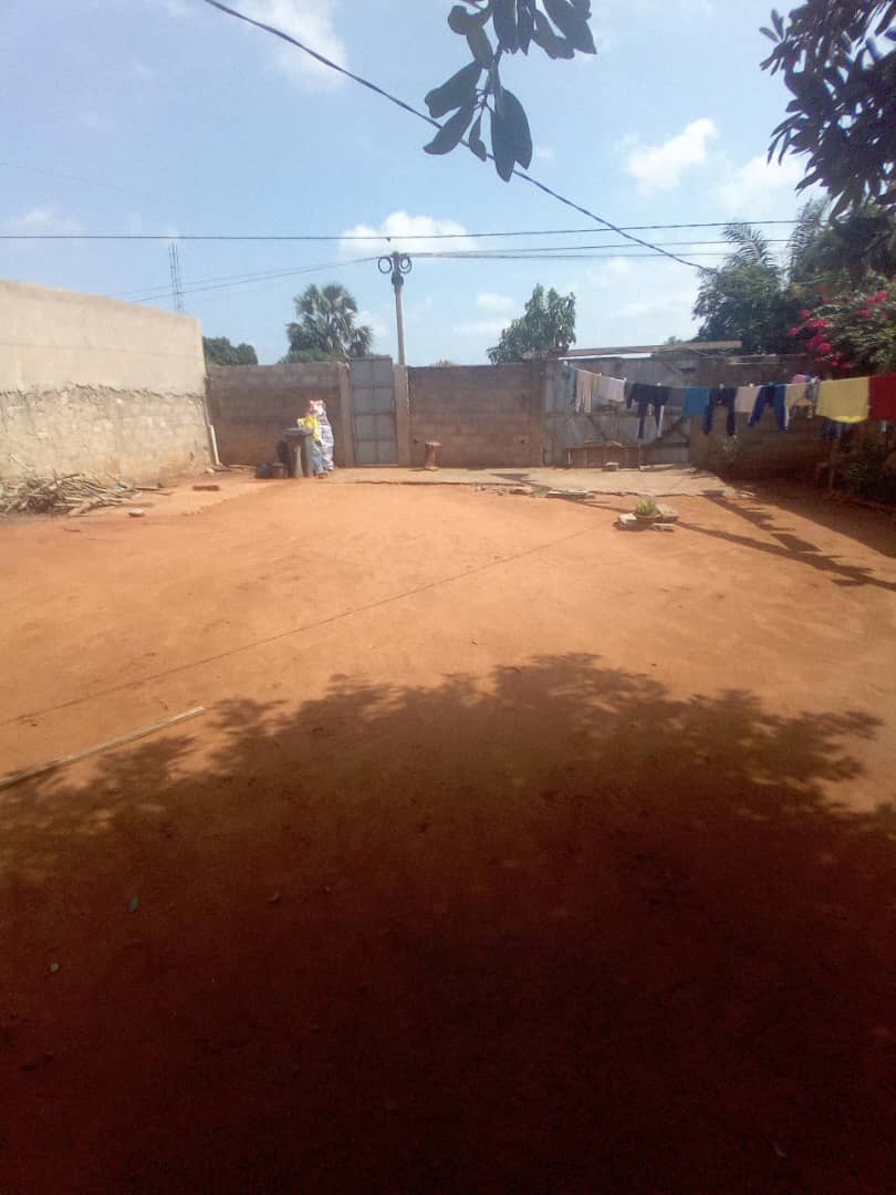 Terrain d'un demi-lot (300 m²) à vendre à Agoè Sogbossito Somayaf à 100 m du goudron – 20 millions FCFA
