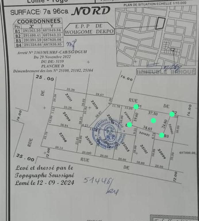 Terrain de 796 m² en vente à Zanguera – 25 millions FCFA