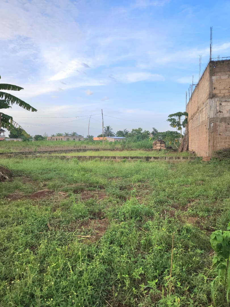 Terrain de 1060 m² en vente à Apéssito derrière Station Sadko – 25 000 000 FCFA