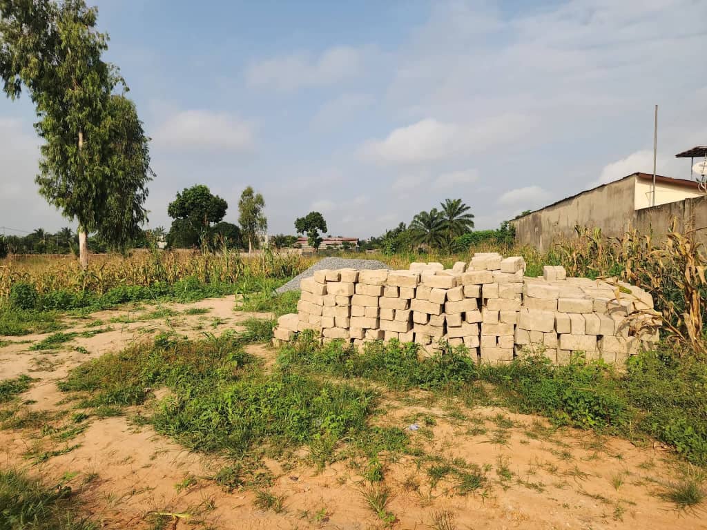 Terrain à vendre à Zanguera – 50 Millions FCFA