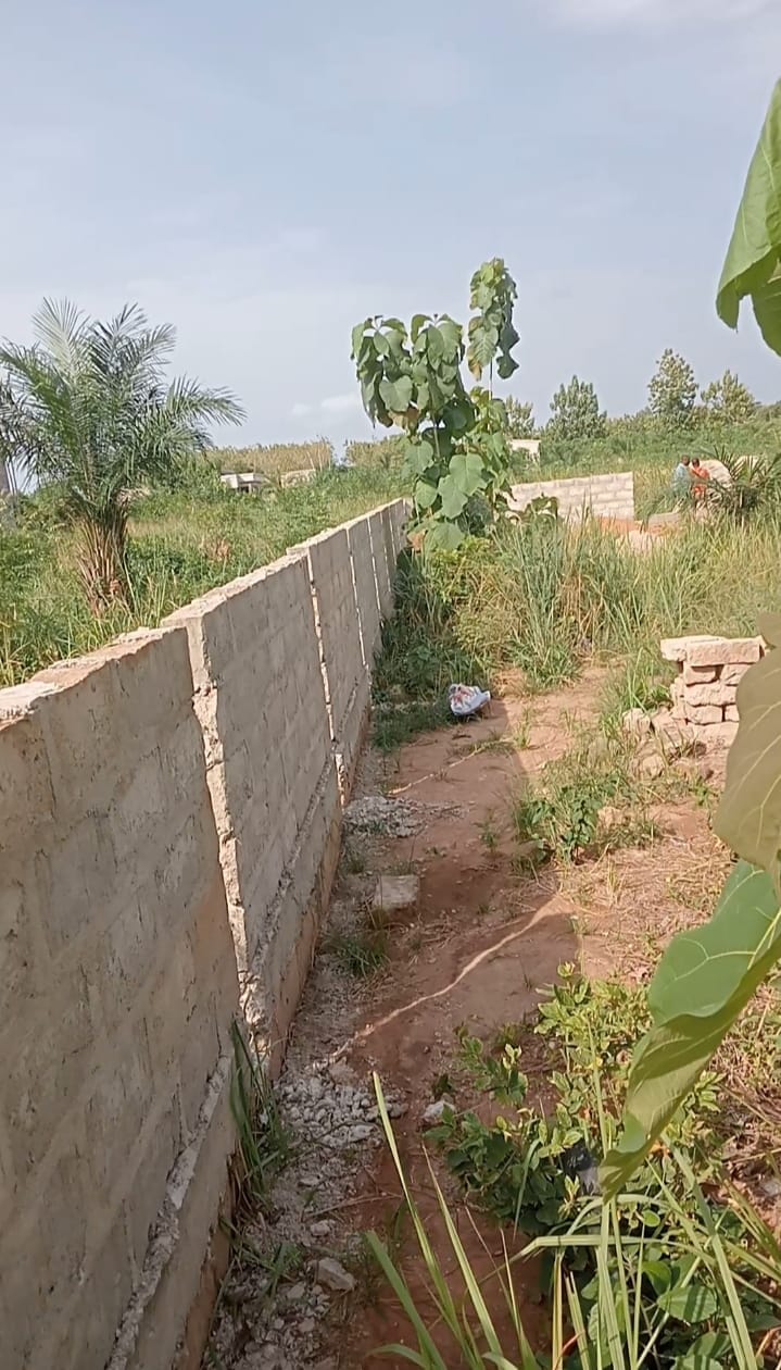 Terrain de 6,5 lots en vente à Kpala Djigbé – 12 millions FCFA le lot