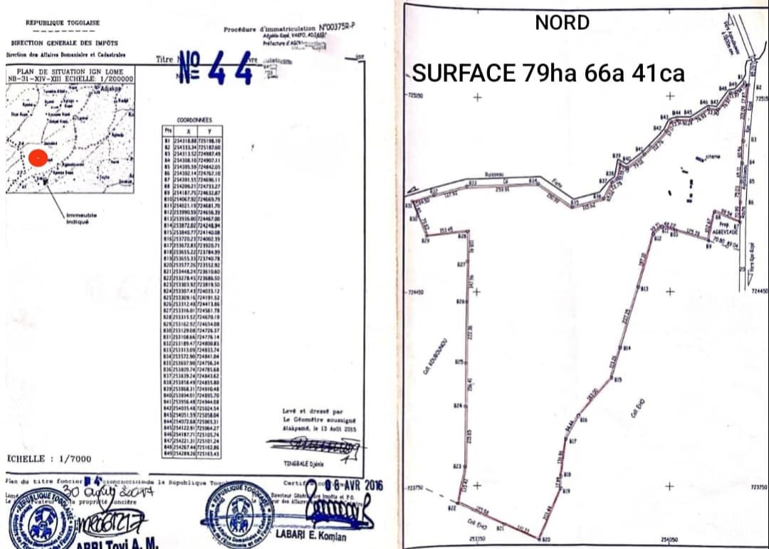 Terrain de 79,50 hectares en vente à Amouzoukopé Bakpo – 2 millions FCFA l'unité