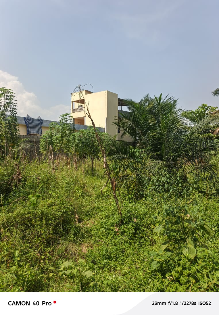 Terrain à vendre à Agoê – 30 Millions FCFA