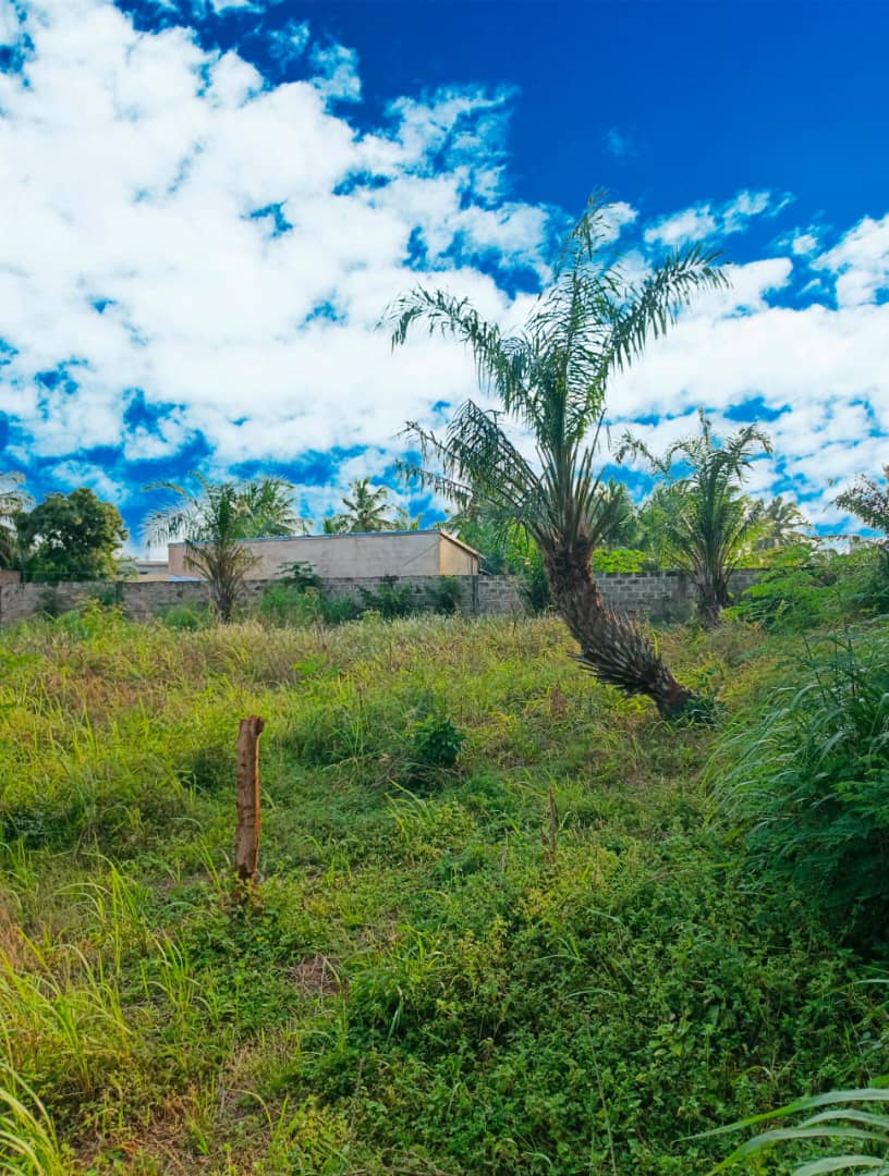 Terrain de 544 m² en vente en angle de rue à Zanguéra-Woungomé – 16 millions FCFA