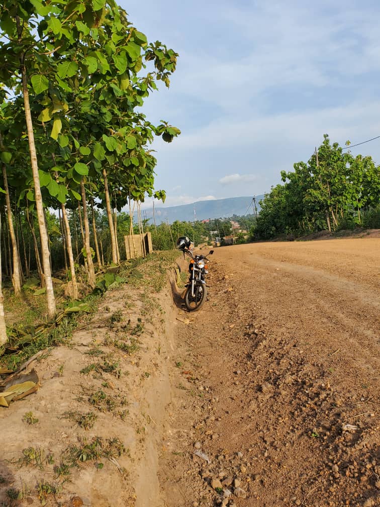 Terrain à vendre à Kpalimé – 20 millions FCFA