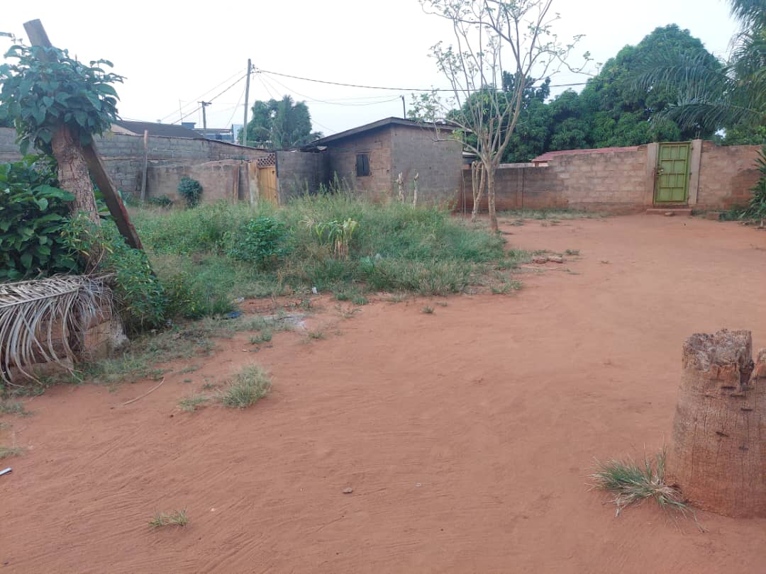 Terrain à vendre à Agoè – 21500000 FCFA