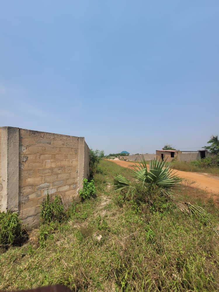 2 lots en vente à Adroukpapé, proche du goudron – 4.5 millions FCFA le lot