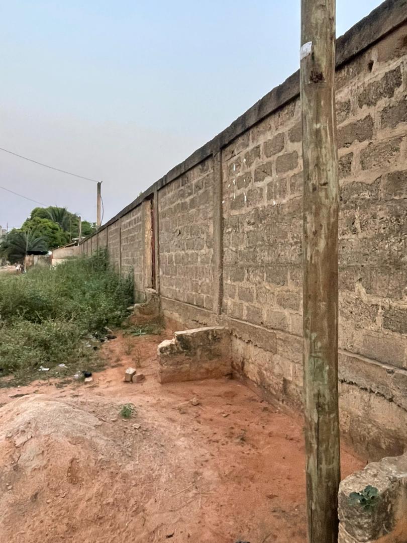 Terrain de 1000 m² en vente à Zanguera – 33 millions FCFA