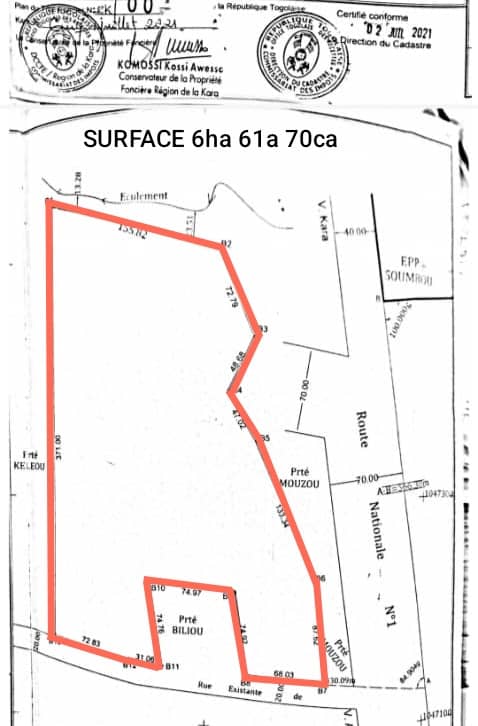 Terrain de 6,50 hectares en vente à Kara Awandjélo – 162,5 millions FCFA