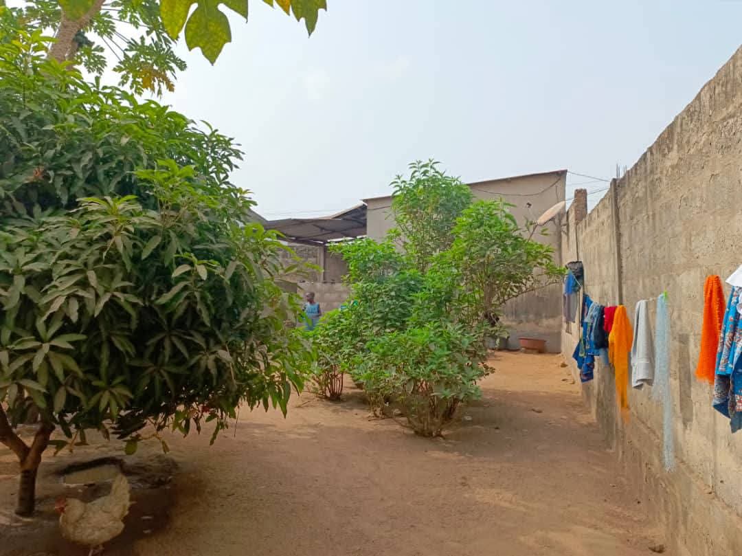 Terrain de 600 m² en vente à Adidogomé Amadahomé – 35 millions FCFA