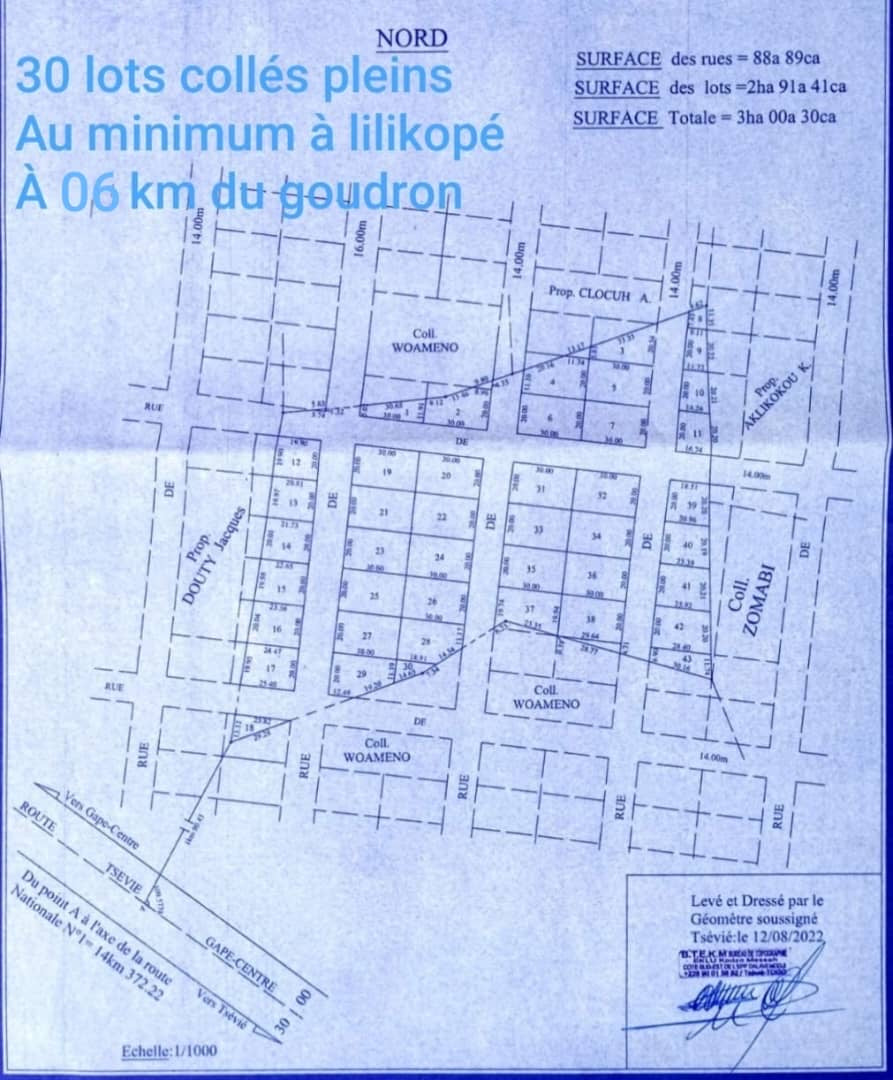 DES LOTS À VENDRE À LILIKOPÉ (30 LOTS DISPONIBLES)