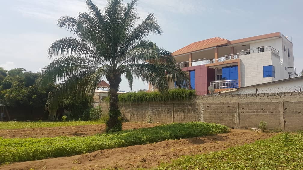 Terrain de 600 m² en vente à Lomé quartier Kpogan – 33 millions FCFA