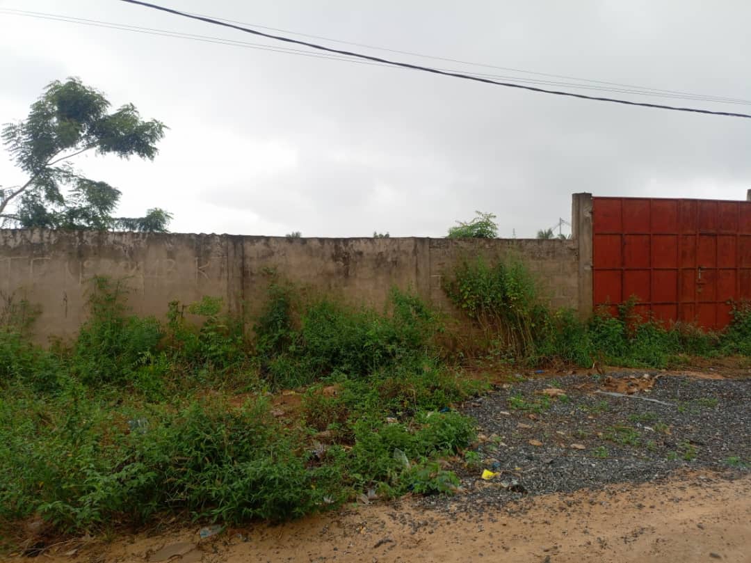 Terrain de 6 lots en vente à Agoè Legbassito – 35 millions FCFA le lot