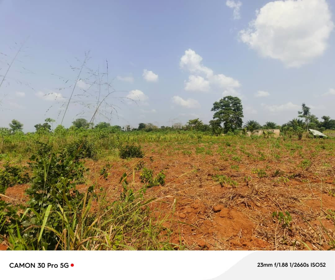 100 LOTS À VENDRE À NOÈPÉ – 10 HECTARES DÉJÀ LOTIS – À 400M DU GOUDRON LOMÉ-KPALIMÉ RN5 – TITRE FONCIER