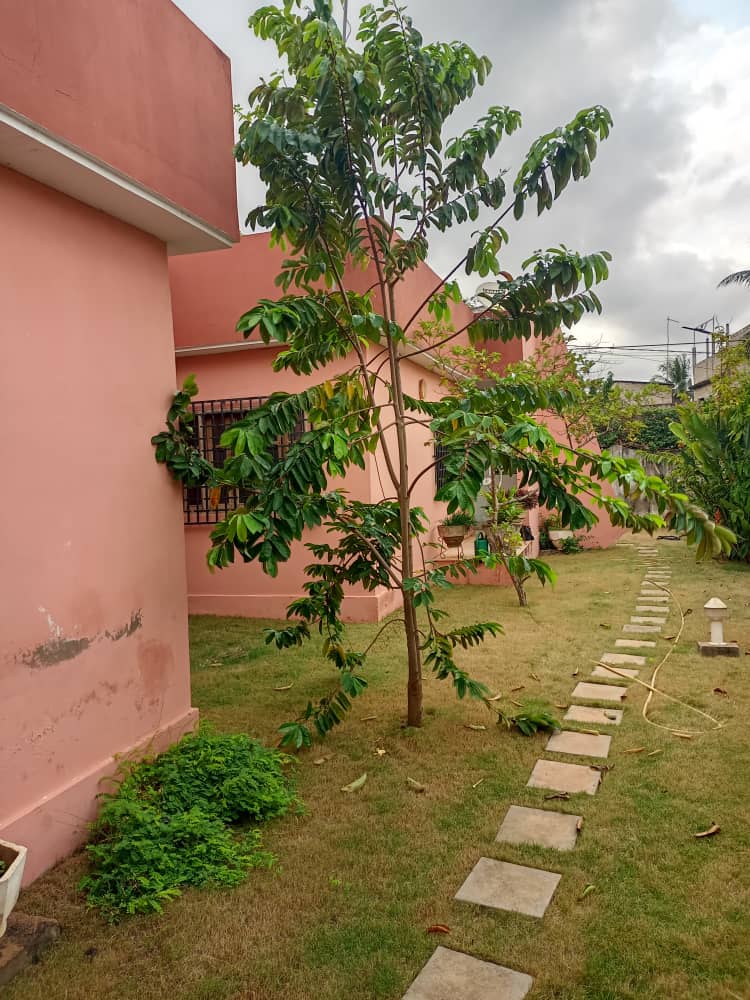 À VENDRE – VILLA DALLÉE 3 CHAMBRES SUR 1 LOT À WONYOMÉ (75 MILLIONS)