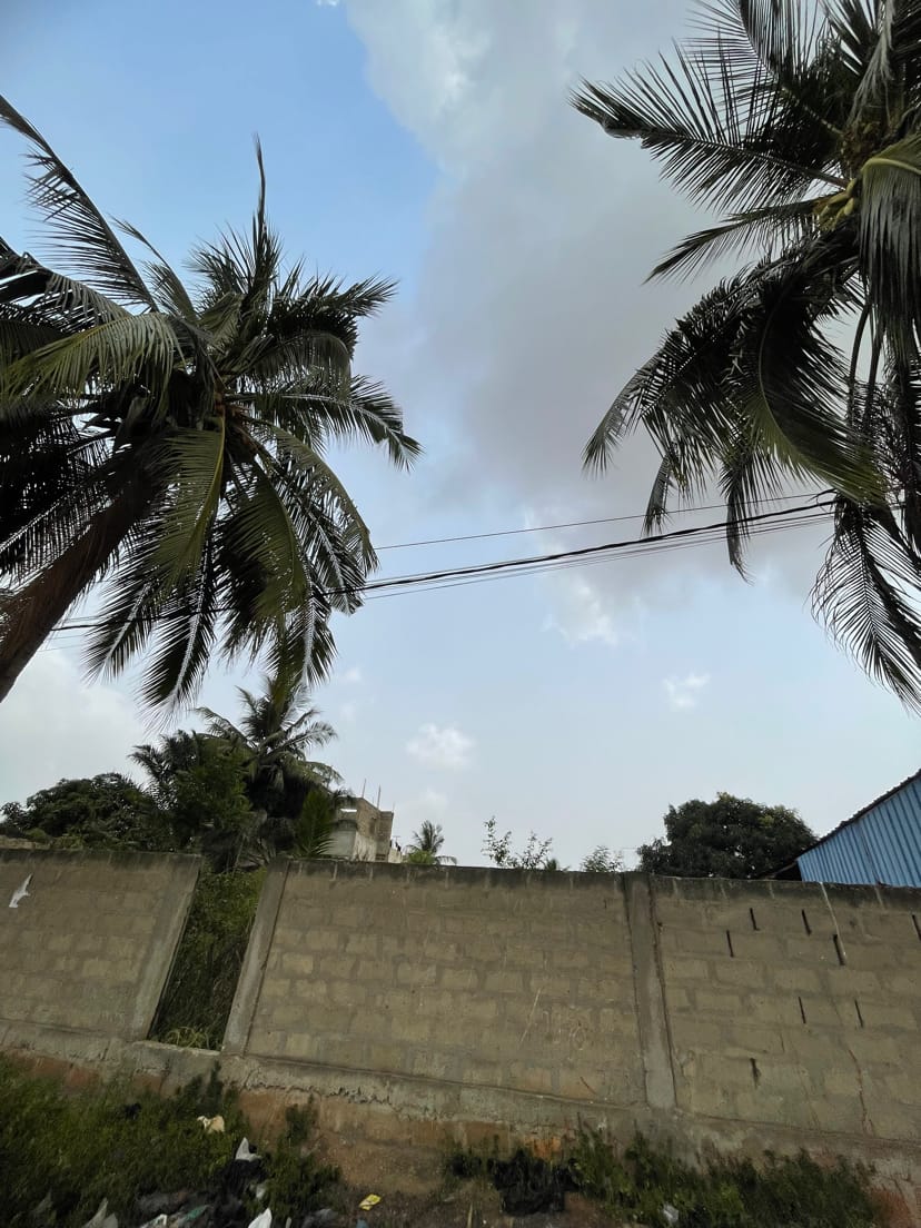 Terrain à vendre à Amadahomé – 30 Millions FCFA