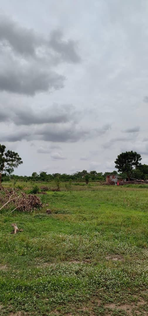 À VENDRE : 55 LOTS DISPONIBLES À ADÉTIKOPÉ TONOUKOUTI (ADOU-GODO)