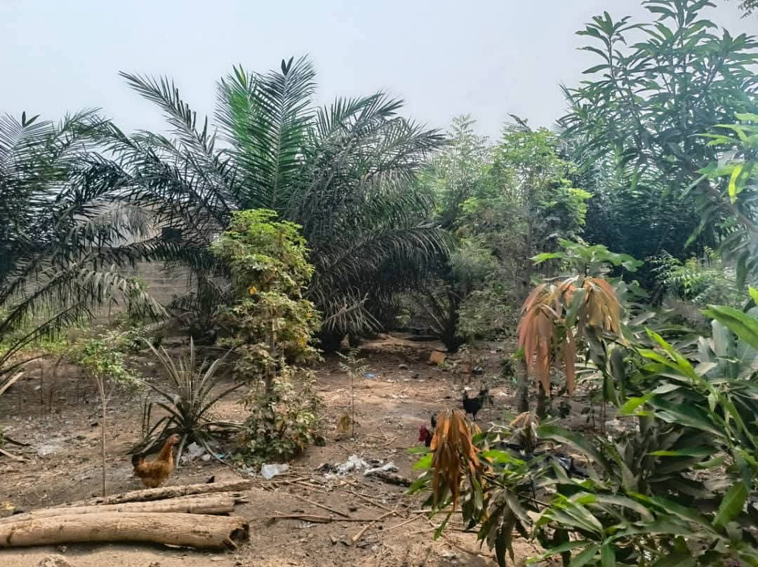 LOMÉ – TERRAIN À VENDRE À AMADAHOMÉ, À 150 M DU GOUDRON