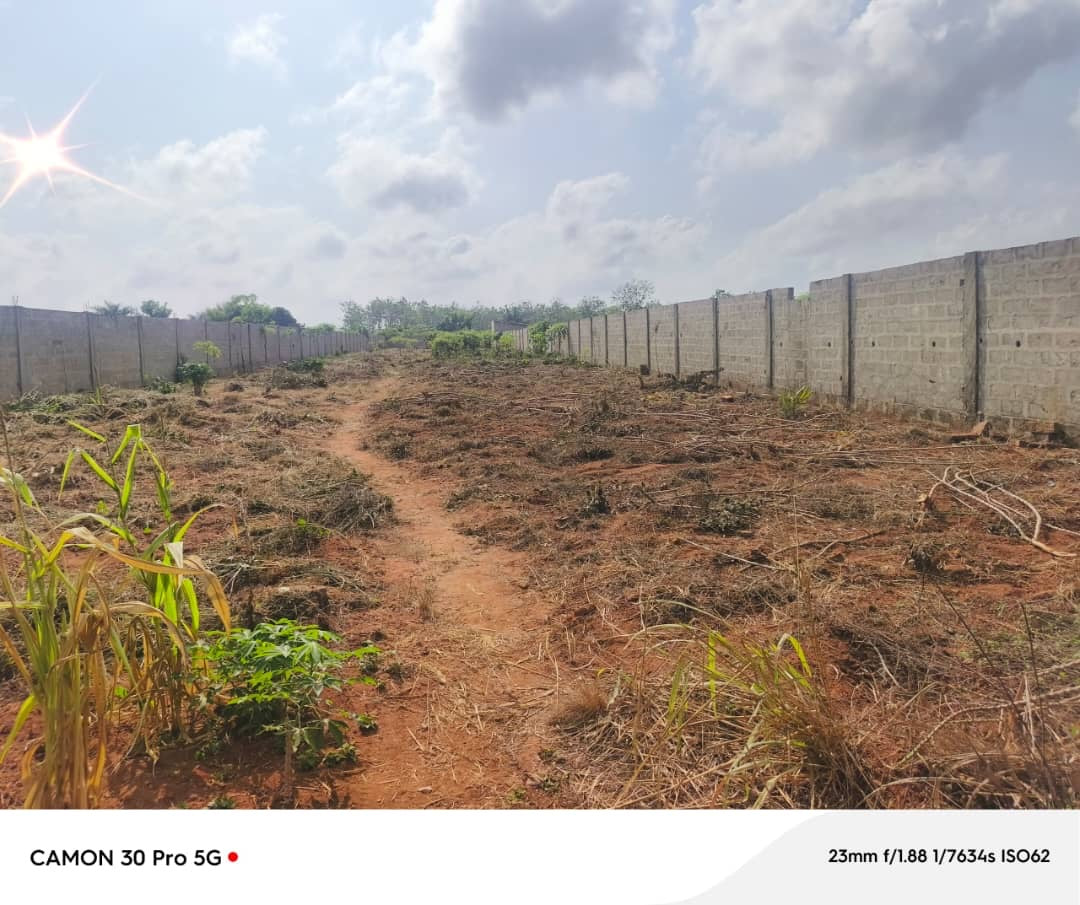 100 LOTS À VENDRE À NOÈPÉ – 10 HECTARES DÉJÀ LOTIS – À 400M DU GOUDRON LOMÉ-KPALIMÉ RN5 – TITRE FONCIER
