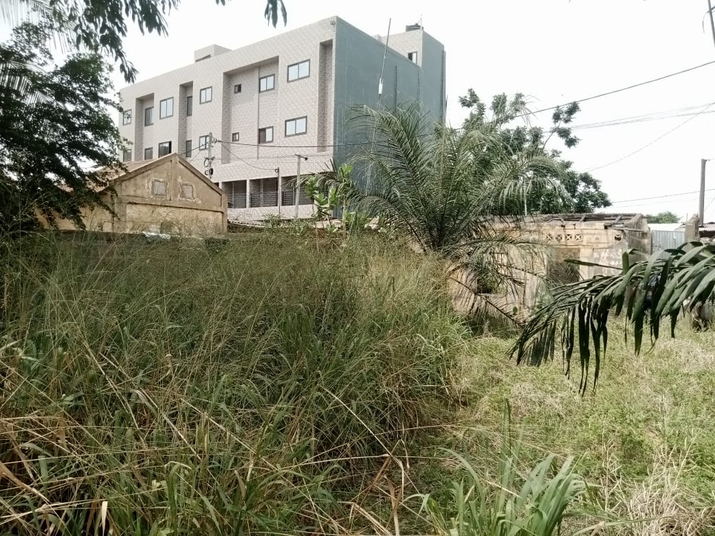 Terrain de 298 m² en vente à Amoutivé Dékon – 130 millions FCFA
