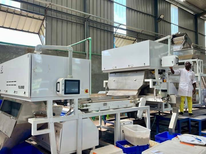 USINE DE TRANSFORMATION D’ACAJOU À VENDRE EN CÔTE D’IVOIRE – OPPORTUNITÉ D’AFFAIRE