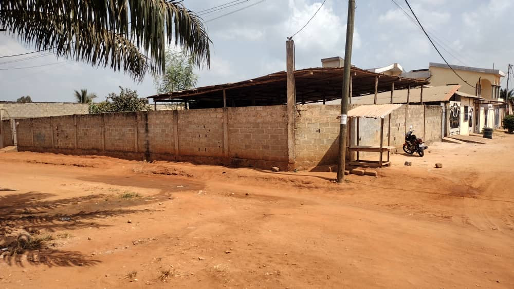 TERRAIN CLÔTURÉ À VENDRE À AGOÈ LÉGBASSITO – ANGLE RUE