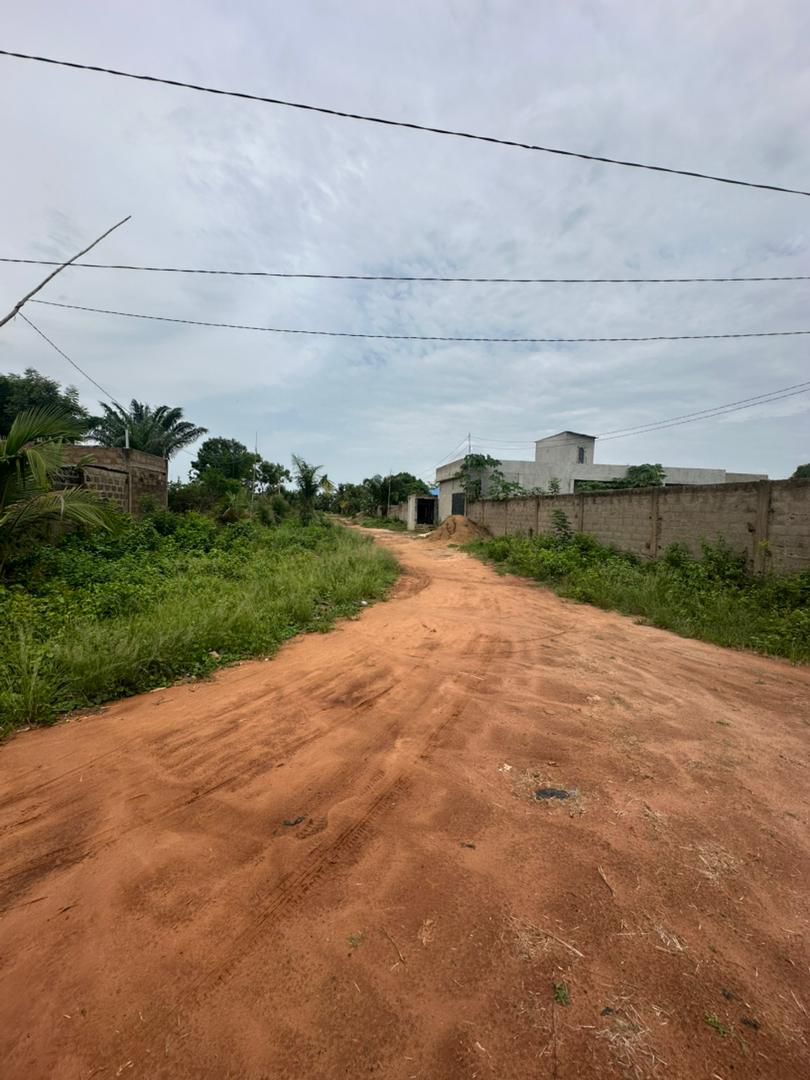 4 lots en vente à Zanguera-Aképé – 20 millions FCFA le lot