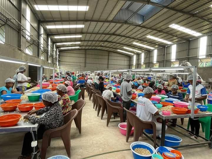USINE DE TRANSFORMATION D’ACAJOU À VENDRE EN CÔTE D’IVOIRE – OPPORTUNITÉ D’AFFAIRE