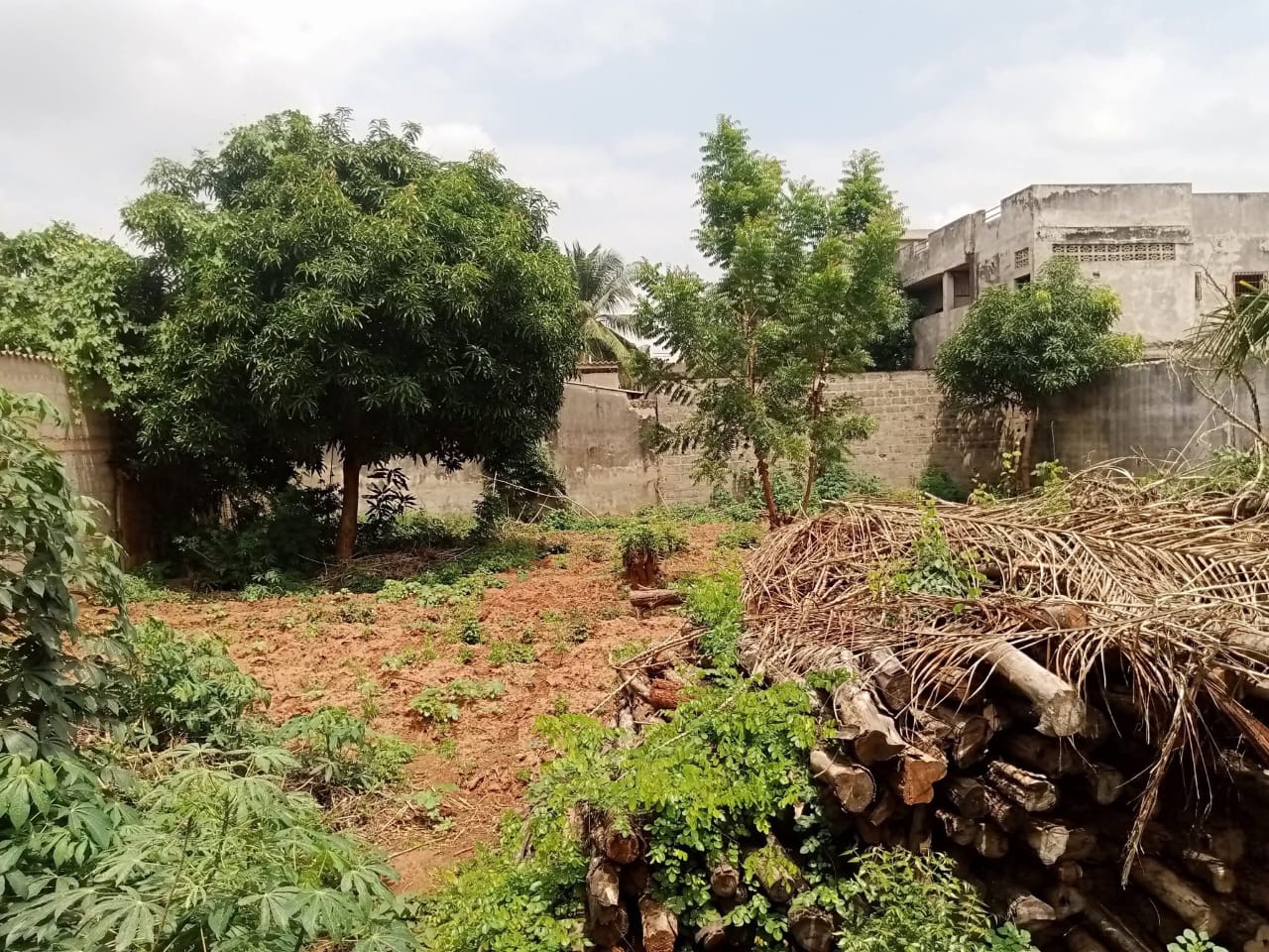Terrain de 600 m² en vente à Agoè Anonkui – 35 millions FCFA