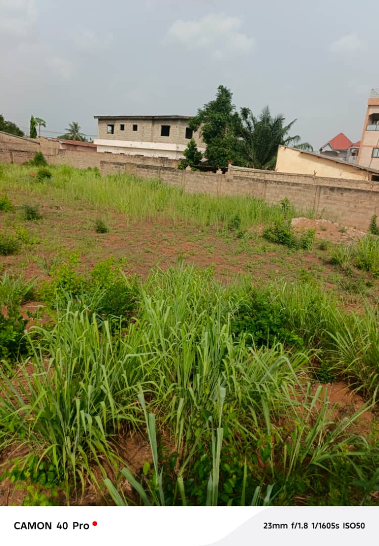 Terrain à vendre à Adidogomé – 55 Millions FCFA