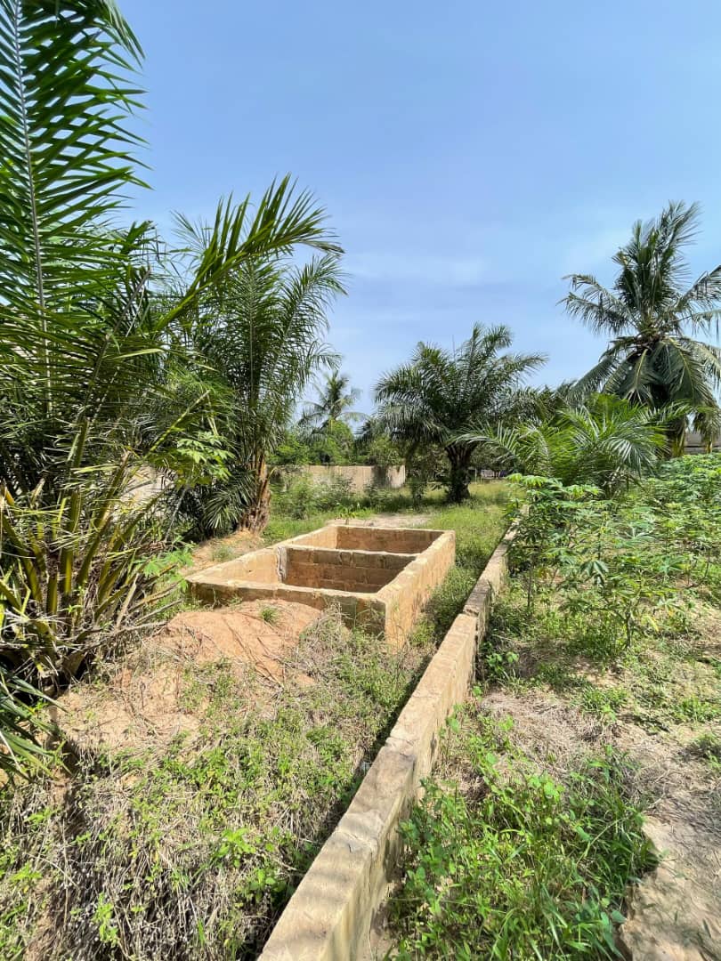 Terrain 1/2 lot en vente à Zanguéra Atidjin Jerusalem – 7.5 millions FCFA
