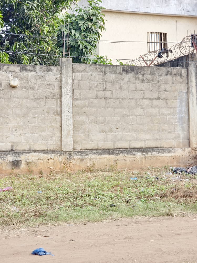 Terrain à vendre à Agoé – 60 Millions FCFA